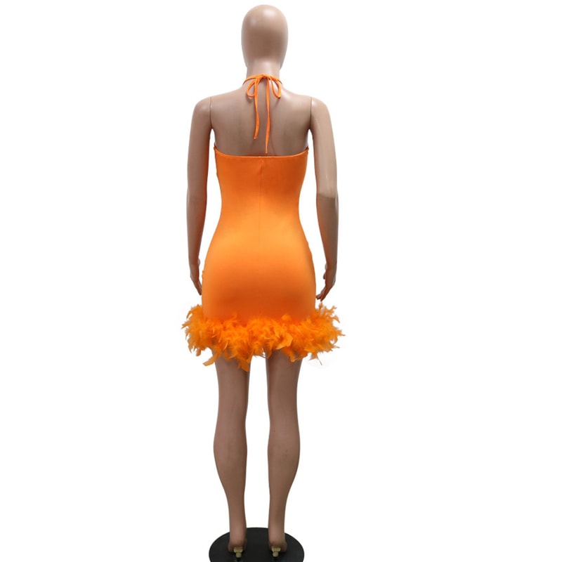 Beautiful Mesh Sequin Feather Glam Dress Luxury Woman Party Dress Glitter Sleeveless Night Out Birt 3