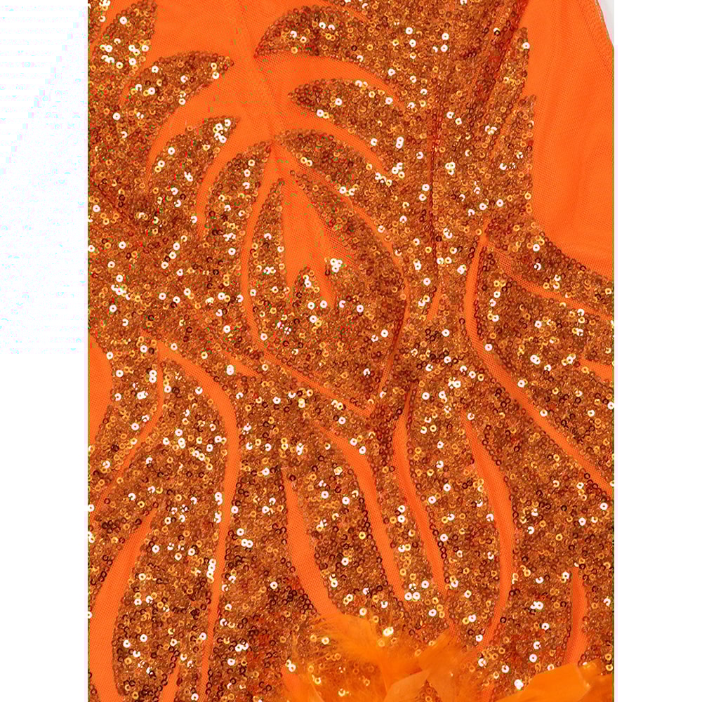 Beautiful Mesh Sequin Feather Glam Dress Luxury Woman Party Dress Glitter Sleeveless Night Out Birt 2