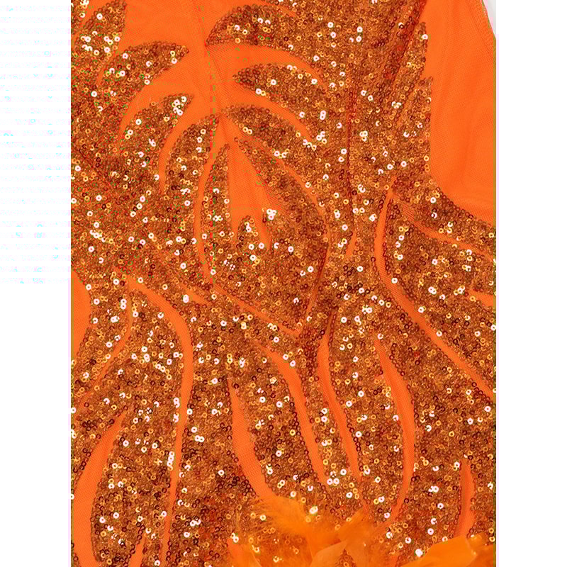 Beautiful Mesh Sequin Feather Glam Dress Luxury Woman Party Dress Glitter Sleeveless Night Out Birt 2