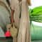 Womens Dress Plus Size Casual Loose VNeck Solid Long Pleated Spring Summer Dress 2