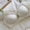 Floral Lace Seamless Push Up Bra For Women With Light Padding And Comfortable Support 6