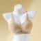 CloudLift Wireless Push Up Bra For Small Bust Support And Seamless Side Coverage 2