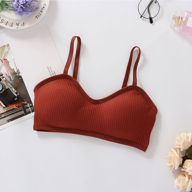 ComfortLift Wireless Seamless Padded Bra Everyday Wirefree Bralette Supportive Intimates 10