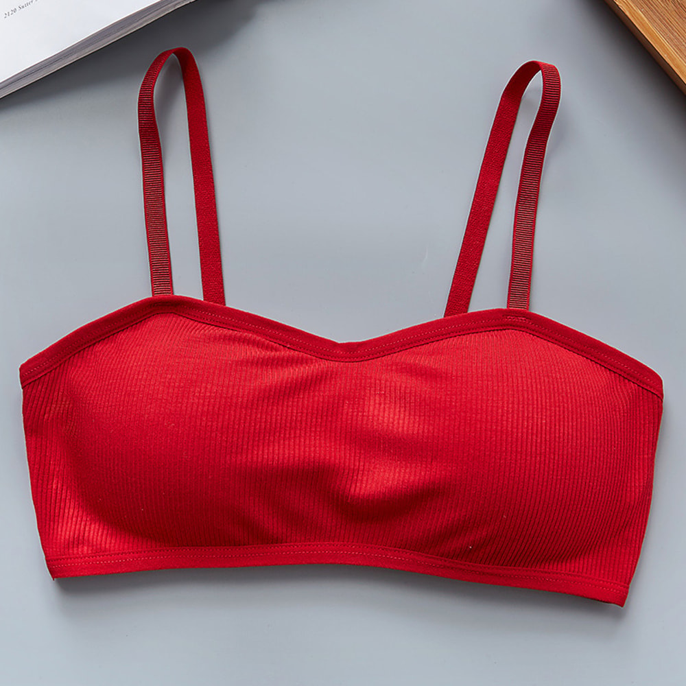 ComfortLift Wireless Seamless Padded Bra Everyday Wirefree Bralette Supportive Intimates 11