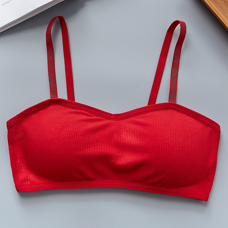 ComfortLift Wireless Seamless Padded Bra Everyday Wirefree Bralette Supportive Intimates 11