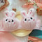 Cozy Kawaii Plush Winter Bra Japanese Style Wireless Comfort Bra 6