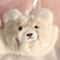 Cozy Kawaii Plush Winter Bra Japanese Style Wireless Comfort Bra 8