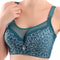 Elegant Push Up Bra For Women Lace Mesh Plus Size Lingerie 4