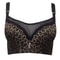 Elegant Push Up Bra For Women Lace Mesh Plus Size Lingerie 6