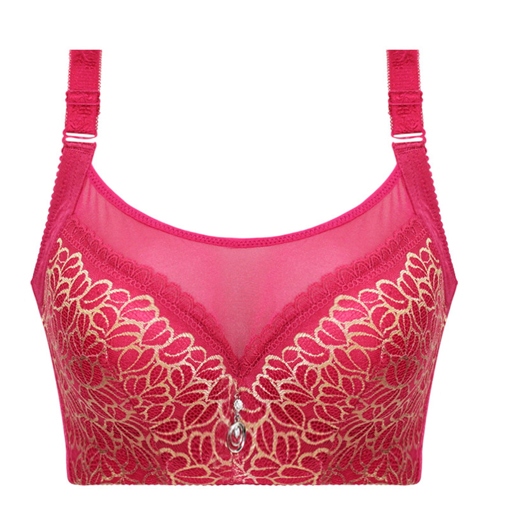 Elegant Push Up Bra For Women Lace Mesh Plus Size Lingerie 7