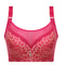 Elegant Push Up Bra For Women Lace Mesh Plus Size Lingerie 7