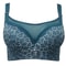 Elegant Push Up Bra For Women Lace Mesh Plus Size Lingerie 5