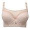 Elegant Push Up Bra For Women Lace Mesh Plus Size Lingerie 8