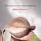 Ultra Lift 6CM Padded Push Up Bra for Small Chest Wireless Comfortable Lingerie