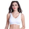 Plus Size Seamless Push Up Bra Pack With Removable Pads 2