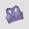 High Support Seamless Padded Yoga Bra High Impact Sports Bra Crop Top for Women