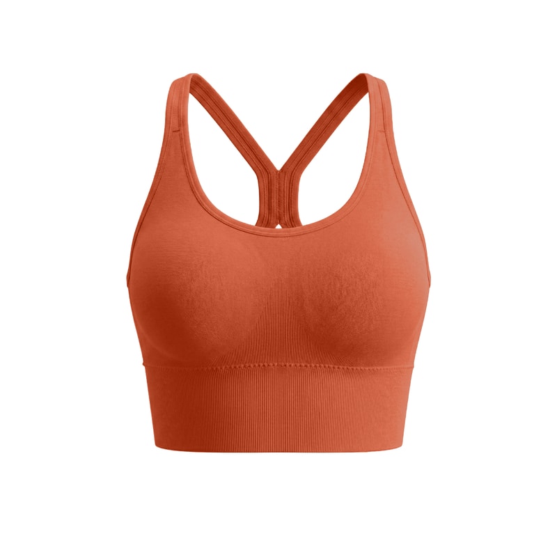 High Support Sports Bra – Seamless Workout Bra Wireless Crop Top for Yoga & Running