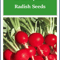Champion Radish Seeds NonGMO Heirloom Garden Seeds For Fresh Fast Growth 0
