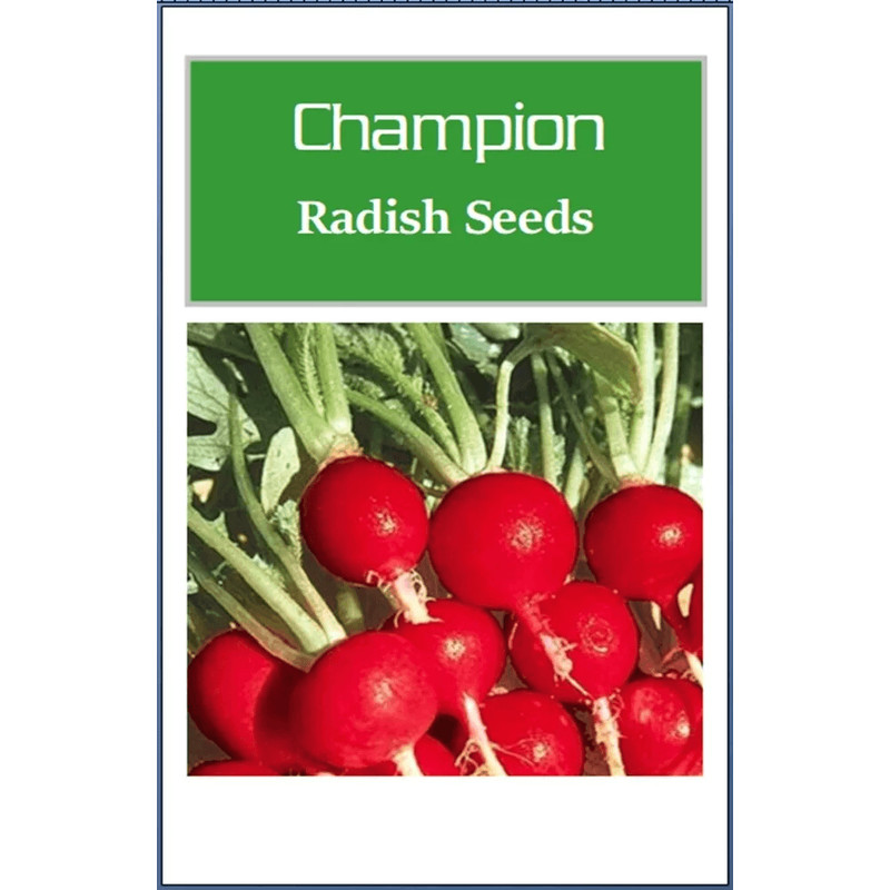 Champion Radish Seeds NonGMO Heirloom Garden Seeds For Fresh Fast Growth 0