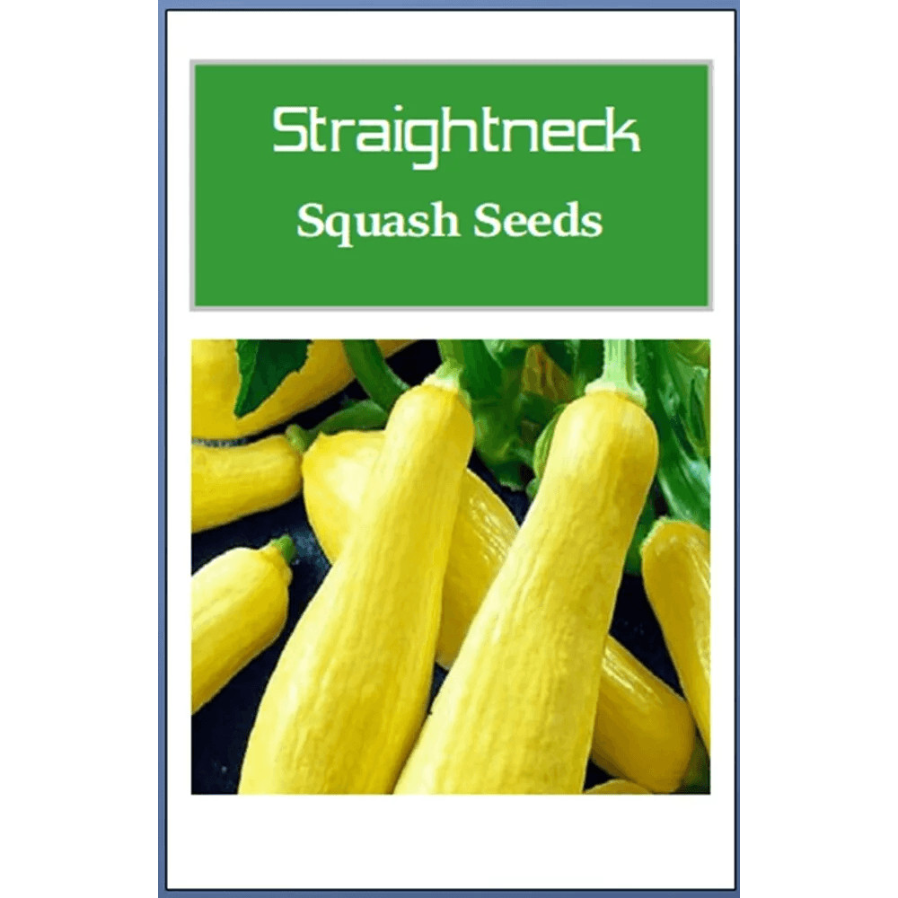 Straightneck Squash Seeds NonGMO Heirloom Fresh Garden Seeds For Home Gardening 0