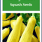 Straightneck Squash Seeds NonGMO Heirloom Fresh Garden Seeds For Home Gardening 0