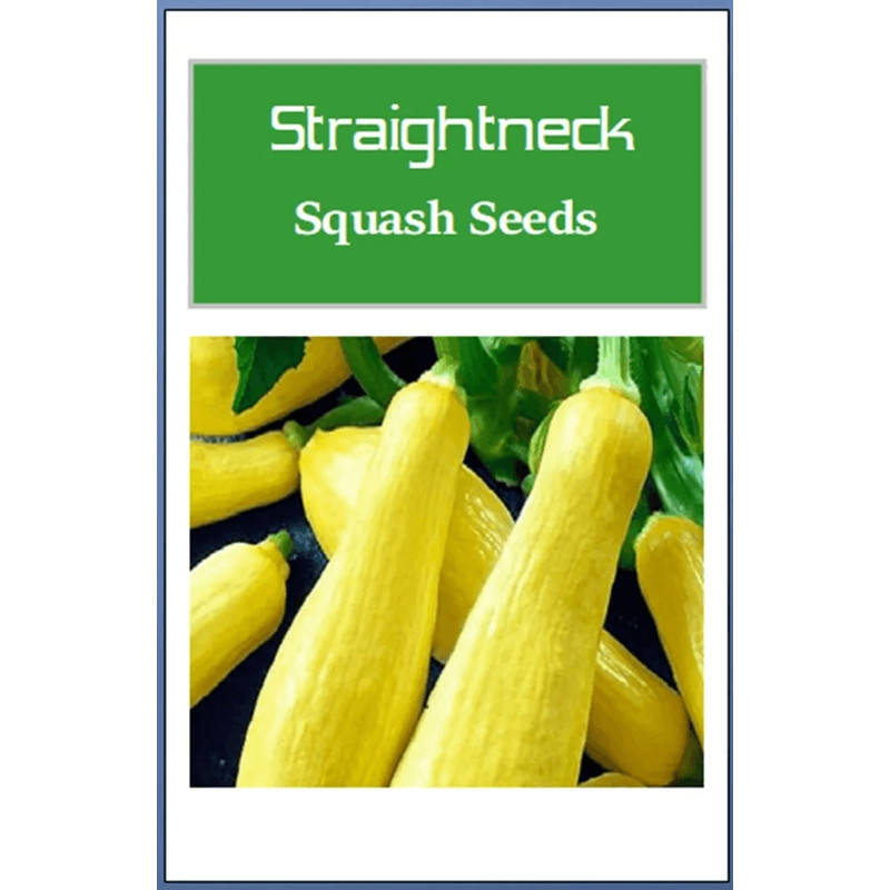 Straightneck Squash Seeds NonGMO Heirloom Fresh Garden Seeds For Home Gardening 0