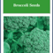 Waltham 29 Broccoli Seeds NonGMO Heirloom Garden Seeds For Fresh Harvest In Full Sun 0