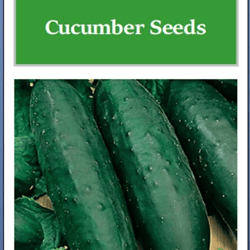 marketmore 76 cucumber seeds, non-gmo heirloom garden seeds, best for organic gardening