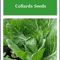 Vates Collards Seeds Heirloom NonGMO Fresh Garden Seeds For Organic Growth 0