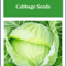 Golden Acre Cabbage Seeds NonGMO Heirloom Fresh Garden Seeds For All Seasons 0
