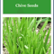 NonGMO Garlic Chives Seeds Heirloom Fresh Culinary Herb For Your Garden 0