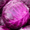 Heirloom Red Acre Cabbage Seeds NonGMO Fresh Garden Seeds For Your Vegetable Garden 0