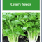 NonGMO Golden Celery Seeds Heirloom Fresh Garden Seeds For Your Vegetable Garden 0