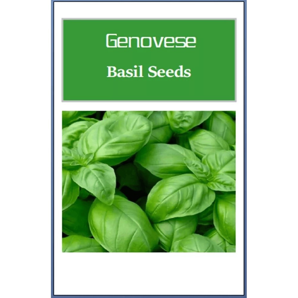 Genovese Basil Seeds NonGMO Heirloom Seeds For Culinary Gardens 0