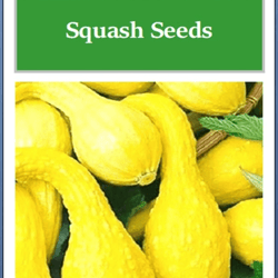 crookneck yellow squash seeds, non-gmo heirloom squash for your garden