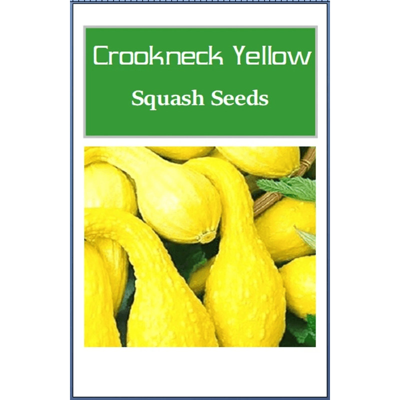 Crookneck Yellow Squash Seeds NonGMO Heirloom Squash For Your Garden 0