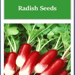 french breakfast radish seeds, non-gmo heirloom garden seeds for quick growth
