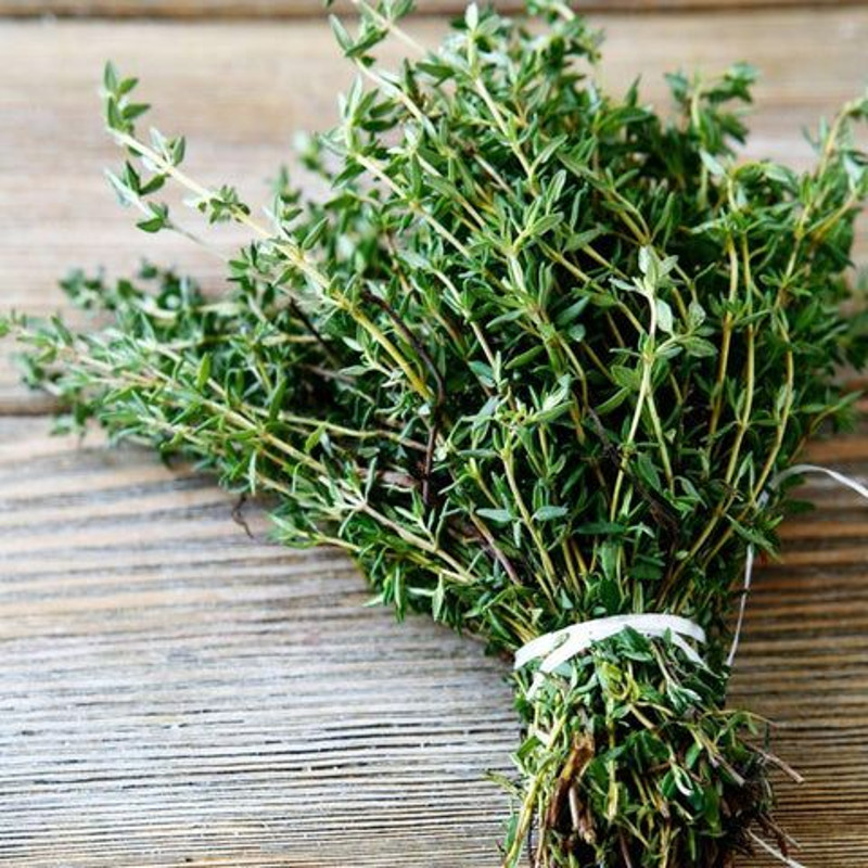 Heirloom Thyme Seeds NonGMO Open Pollinated Herb Seeds For Gardening  Cooking 1