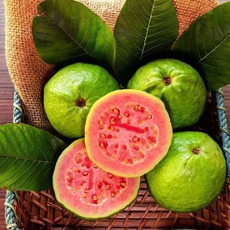 Red Guava Seeds Tropical Fruit Tree With Sweet Pink Flesh For Home Garden 1