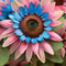 Double Flowered Sunflower Blue Pink Miracle Seeds 3