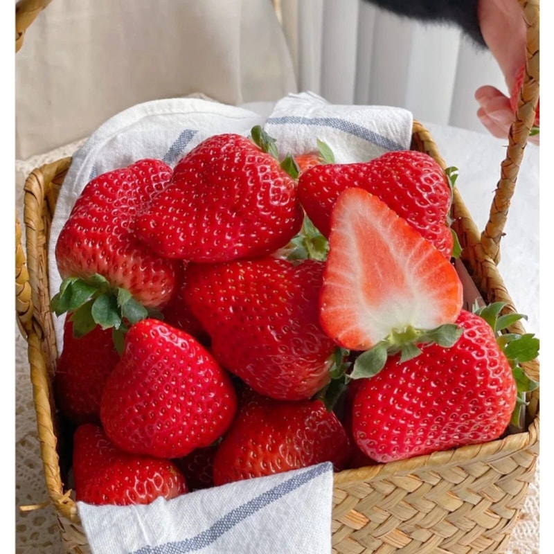 Cream Strawberry Seeds NonGMO Perennial Variety For Garden Beds 4