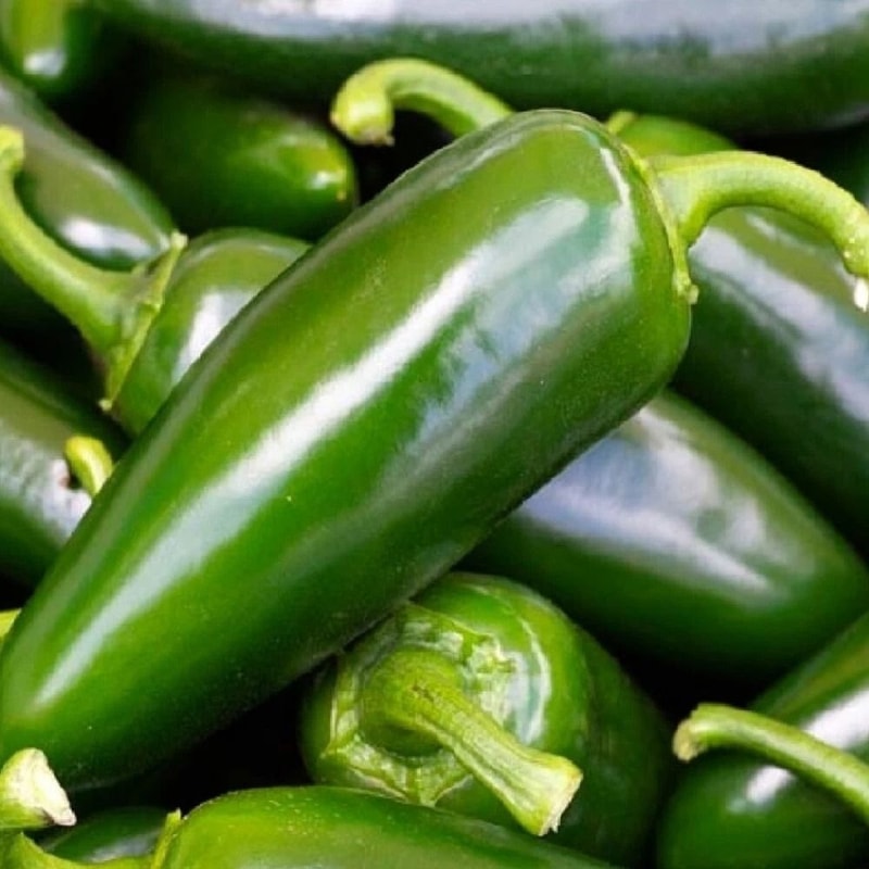 Tam Jalapeno Pepper Seeds NonGmo Jalapeno Pepper Seeds Heirloom Seeds 0