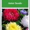 Powderpuff Mix Aster Seeds NonGmo Heirloom Fresh Flower Seeds 1