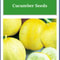 Lemon Cucumber Seeds NonGmo Cucumber Seeds Heirloom Garden Seeds 1