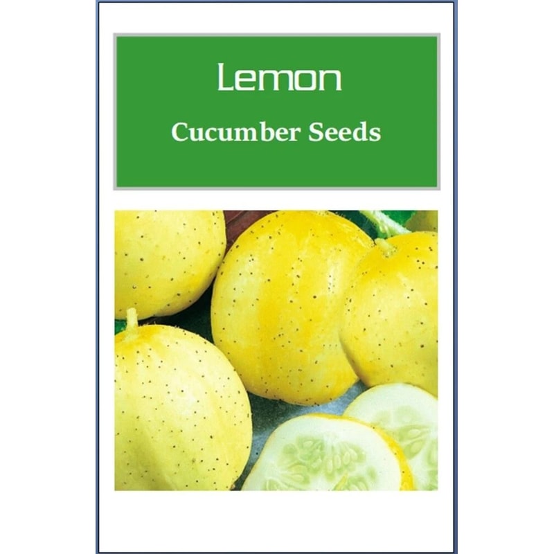 Lemon Cucumber Seeds NonGmo Cucumber Seeds Heirloom Garden Seeds 1
