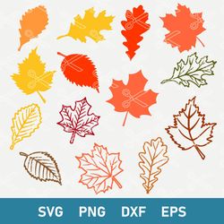 Fall Leaf Bundle Svg, Fall Leaf Svg, Fall Leaves Svg, Fall Svg, Png Dxf Eps Digital File