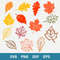 Fall Leaf Bundle Svg, Fall Leaf Svg, Fall Leaves Svg, Fall Svg, Png Dxf Eps Digital File.jpeg