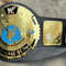wwe wrestling belt replica