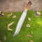 Custom D2 Steel Bowie Hunting Knife Stag Antler Handle Outdoor Collector Gift 1