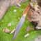Custom D2 Steel Bowie Hunting Knife Stag Antler Handle Outdoor Collector Gift 5